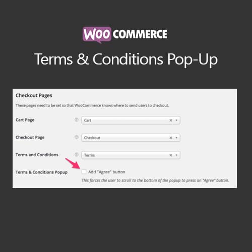 Terms and Conditions Popup